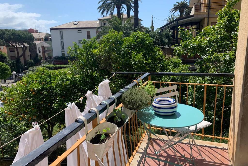 Mediterranean Luxurious